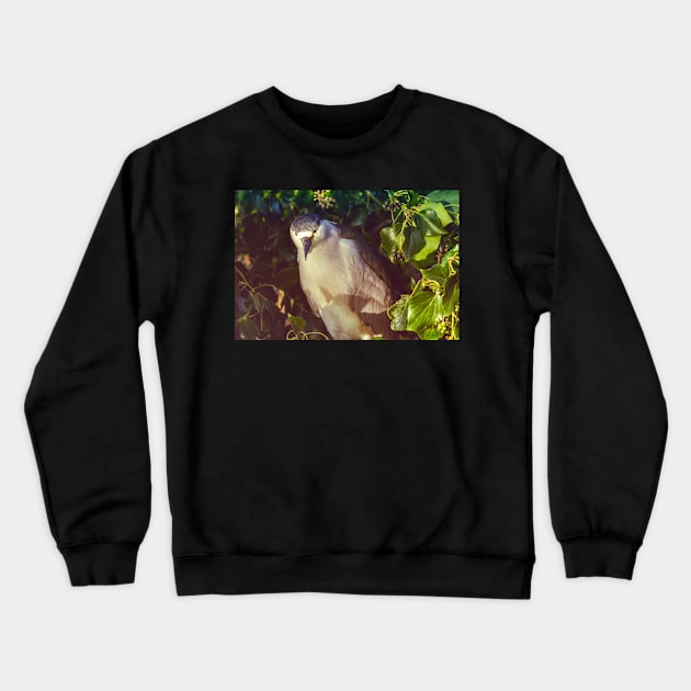 Straight Look Crewneck Sweatshirt by jvnimages